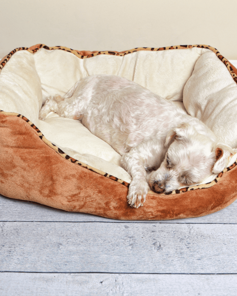 how much sleep does puppy need 3